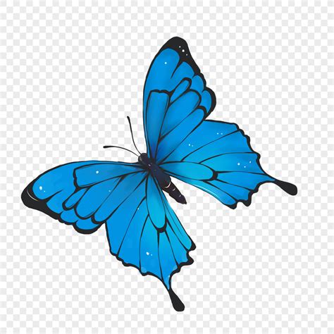 深沉意思 藍色蝴蝶象徵